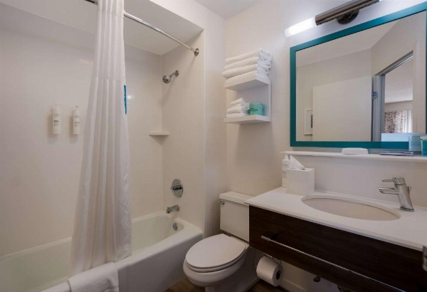 Hampton Inn By Hilton Columbia-I-26 Airport Area image 24